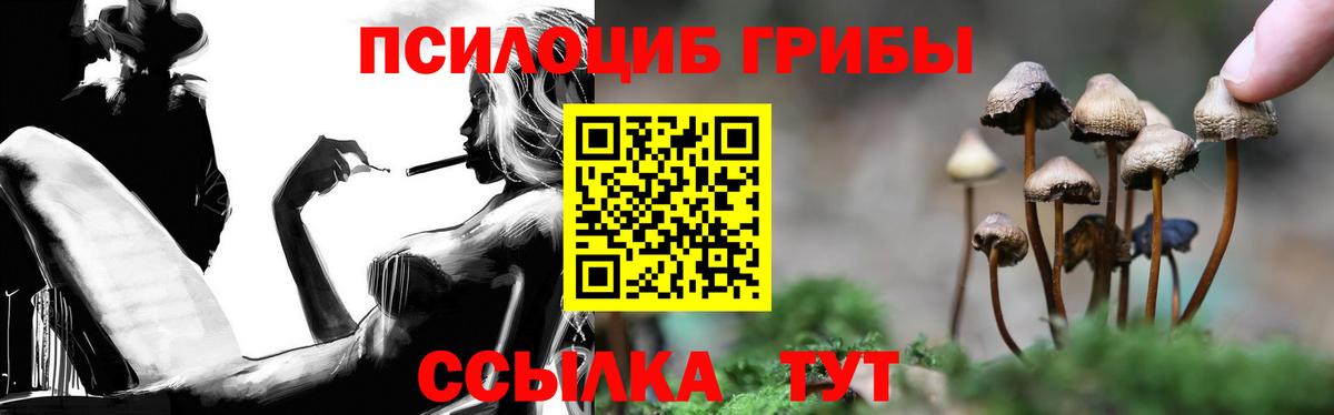 Псилоцибиновые грибы мицелий Волхов